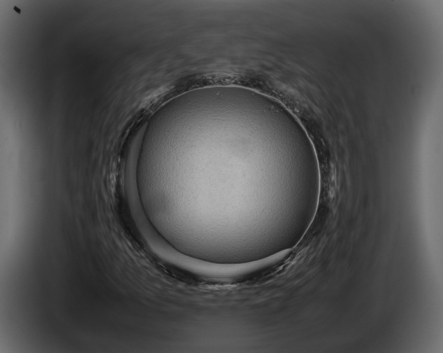 X0000085741157200703231104