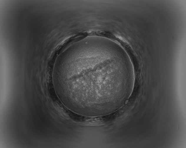 X0000085741159200703231104