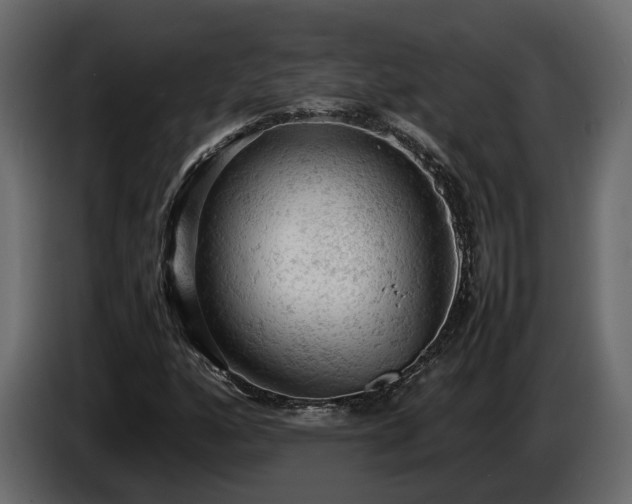 X0000085741160200703231104