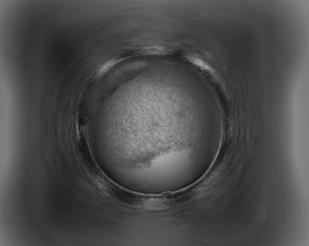 X0000085741161200703231104