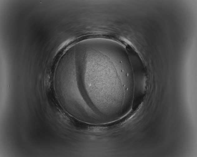 X0000085741163200703231104