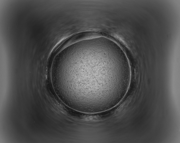 X0000085741165200703231104