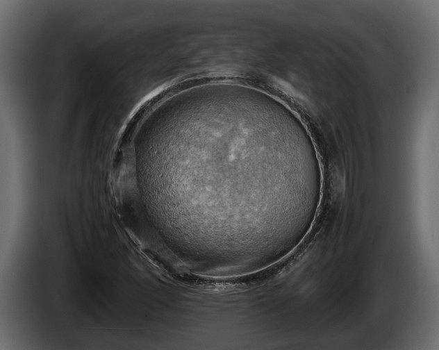 X0000085741166200703231104