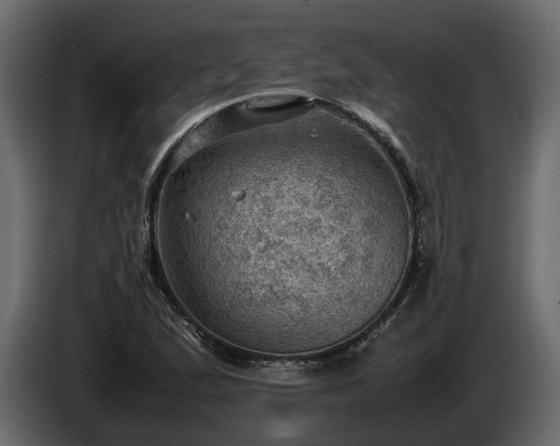 X0000085741167200703231104