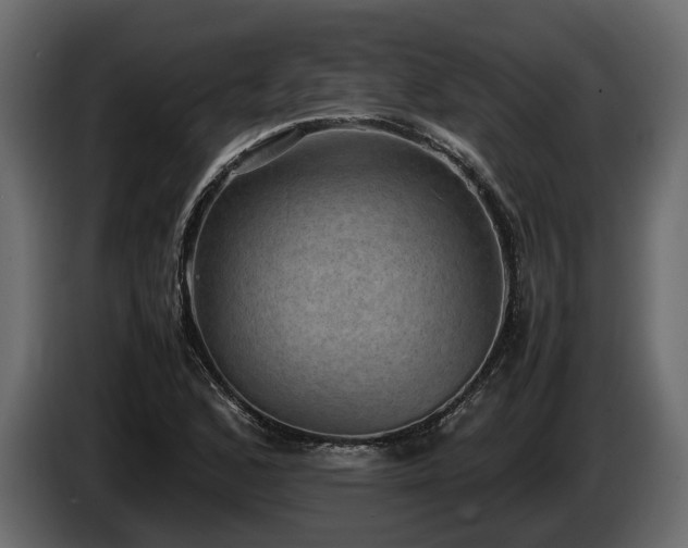 X0000085741168200703231104
