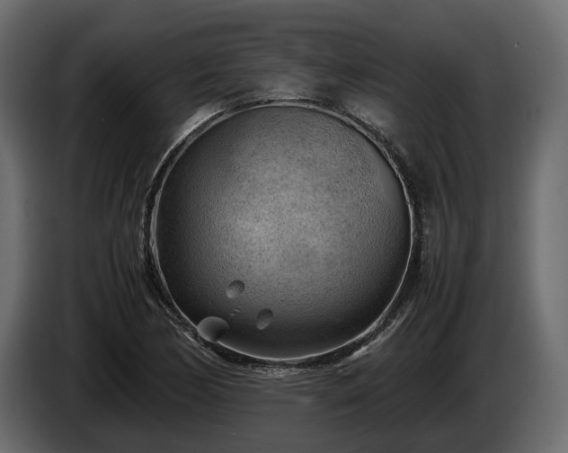 X0000085741170200703231104
