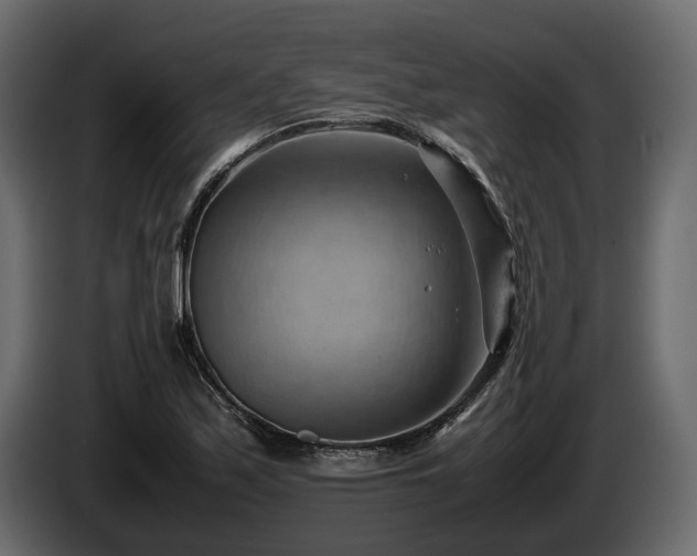 X0000085741171200703231103