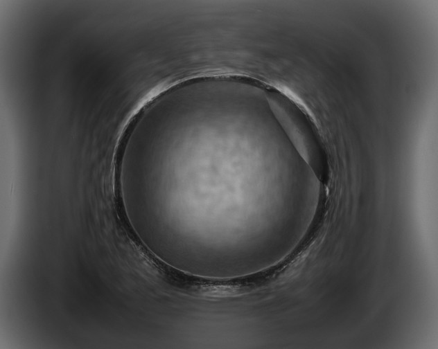 X0000085741173200703231103
