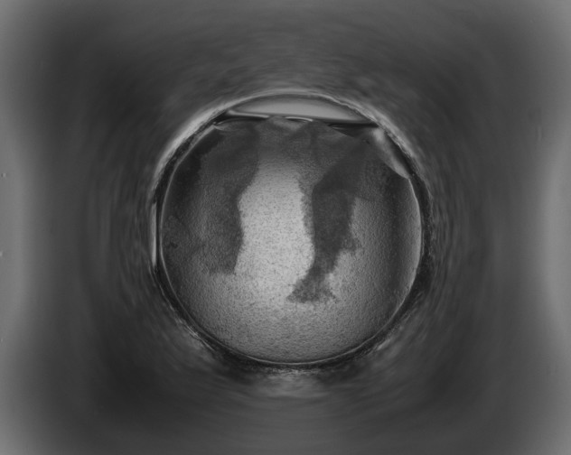 X0000085741175200703231103