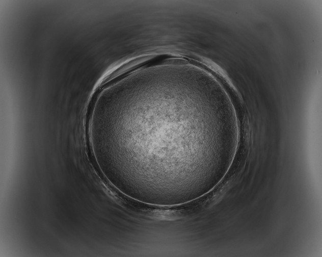 X0000085741176200703231103