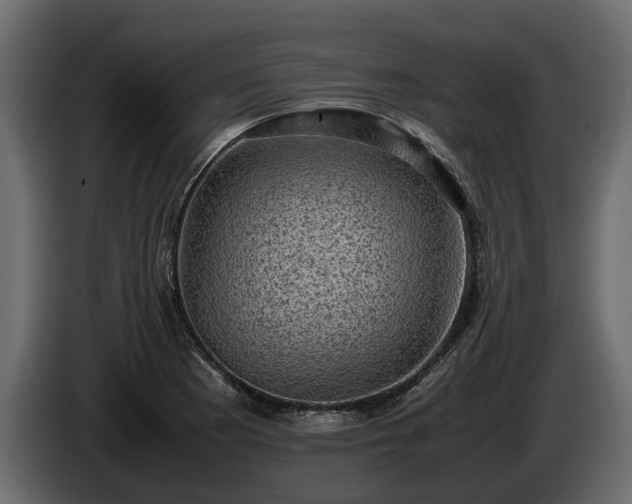 X0000085741177200703231103