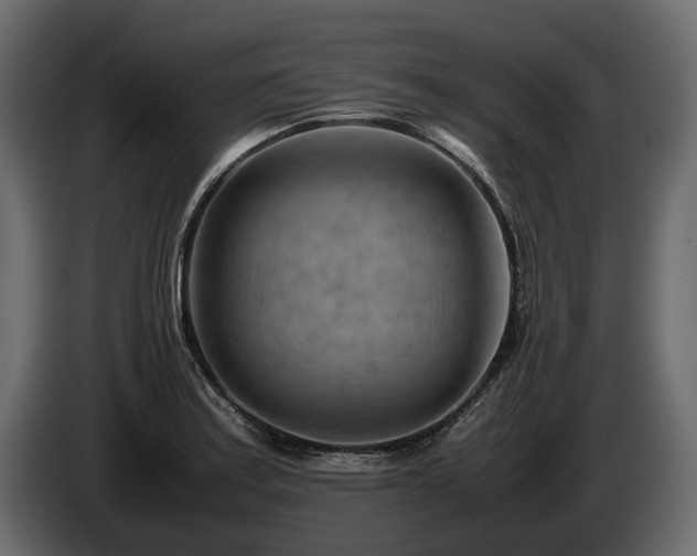 X0000085741179200703231103