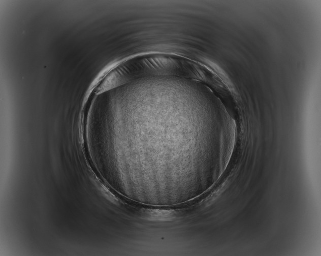 X0000085741180200703231103