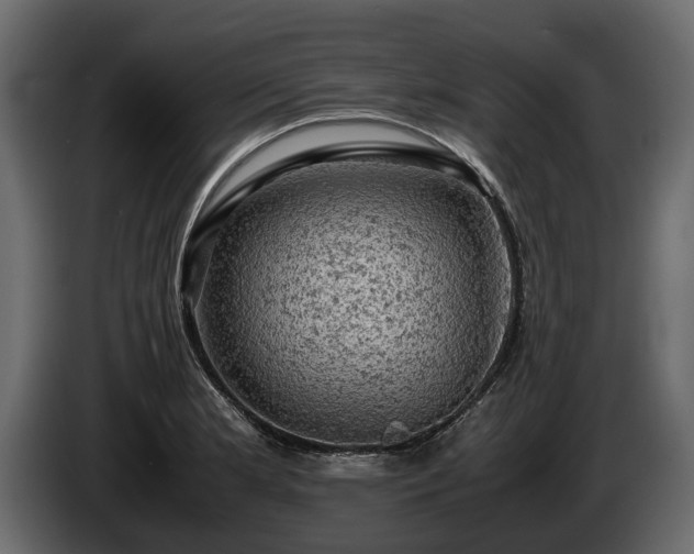 X0000085741181200703231103