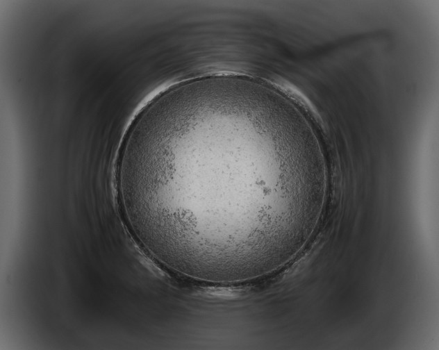X0000085741182200703231103
