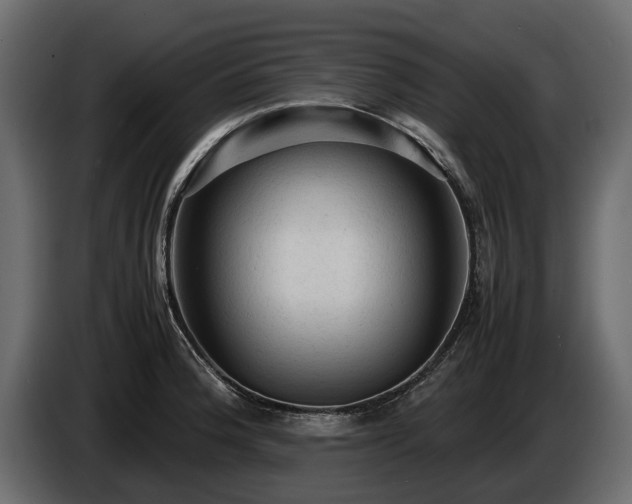 X0000085741188200703231103