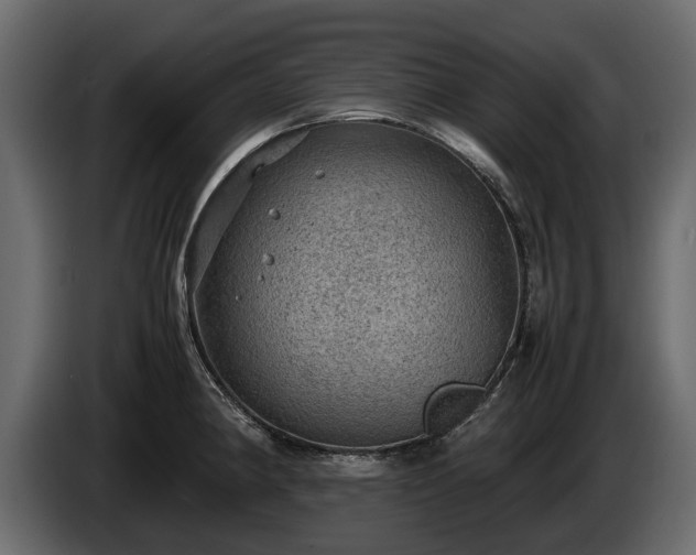 X0000085741190200703231103