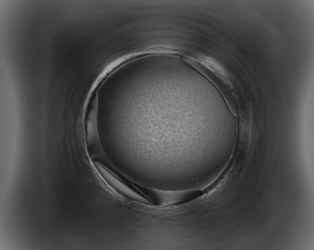 X0000085741192200703231103