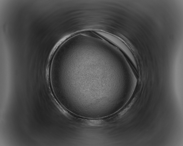 X0000085741196200703231103