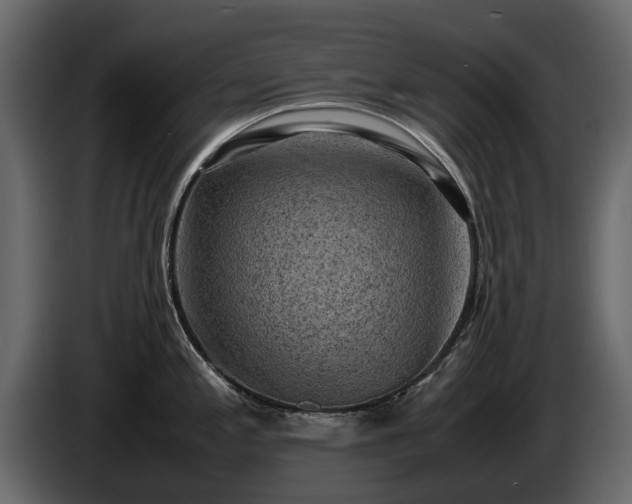 X0000085741197200703231103