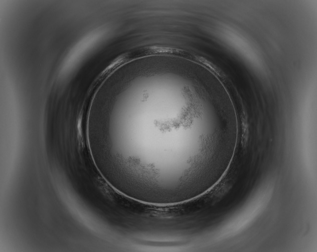 X0000085741198200703231103