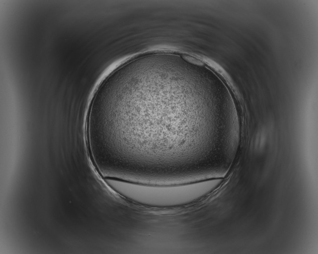 X0000085741199200703231103