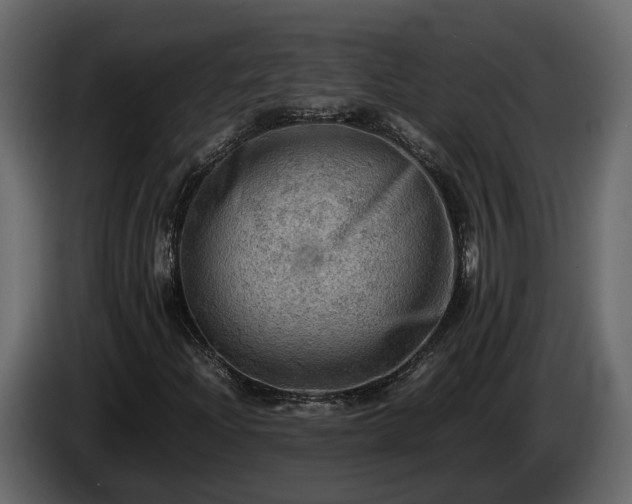 X0000085741204200703231102