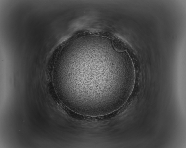 X0000085741207200703231102
