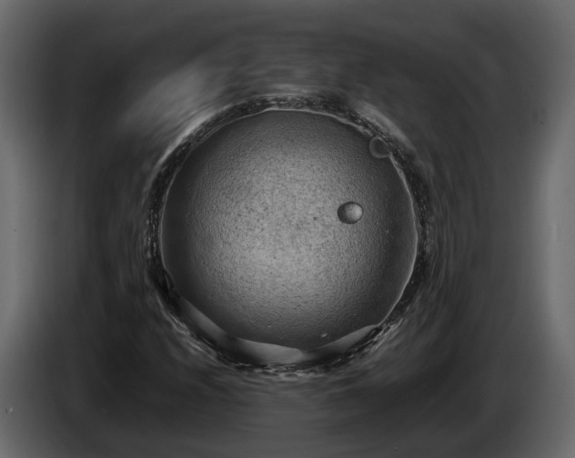 X0000085741208200703231103