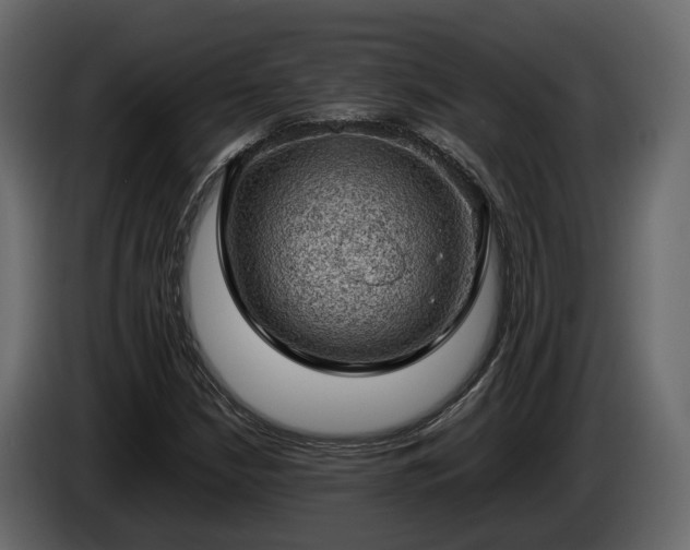 X0000085741210200703231103