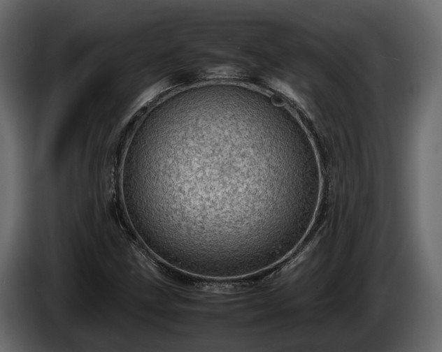 X0000085741211200703231103