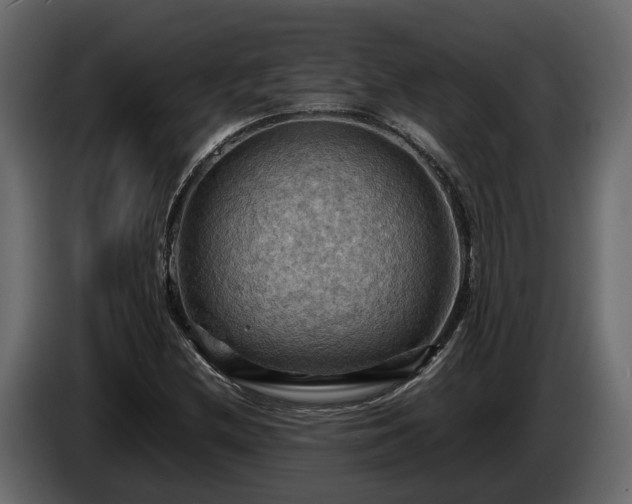 X0000085741212200703231103