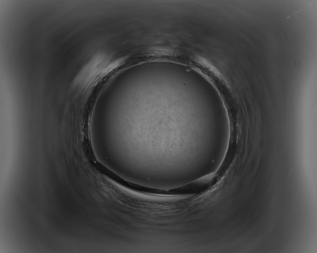 X0000085741213200703231103