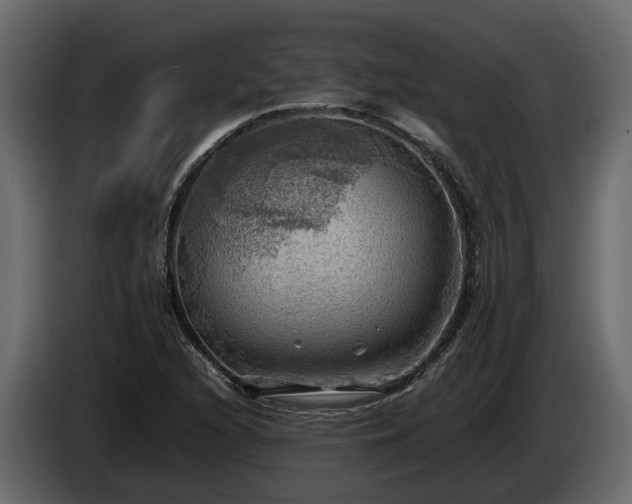 X0000085741216200703231103