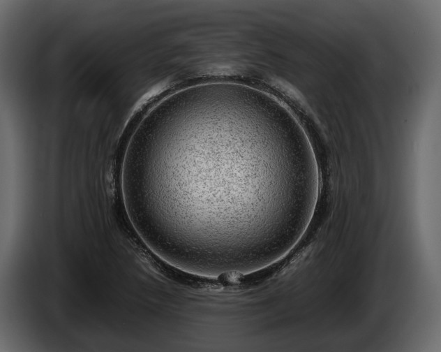 X0000085741218200703231103