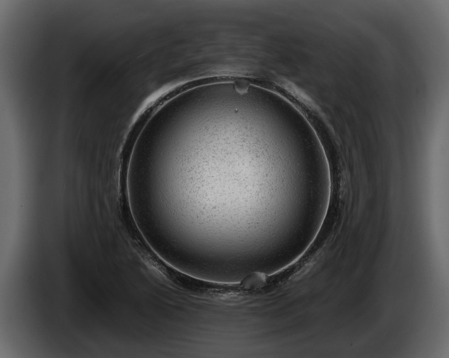 X0000085741222200703231103