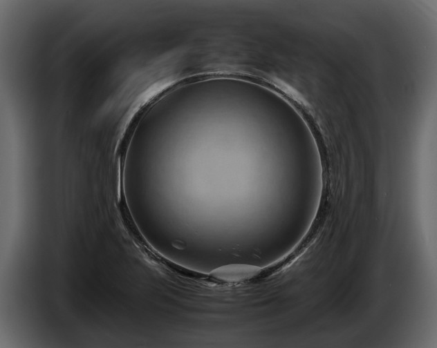 X0000085741223200703231103