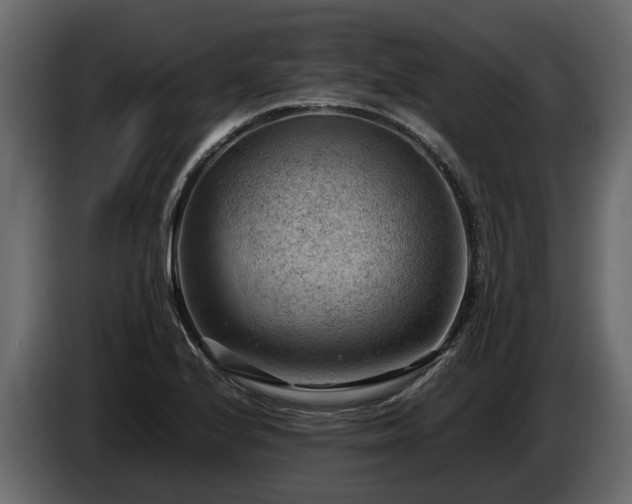 X0000085741224200703231103