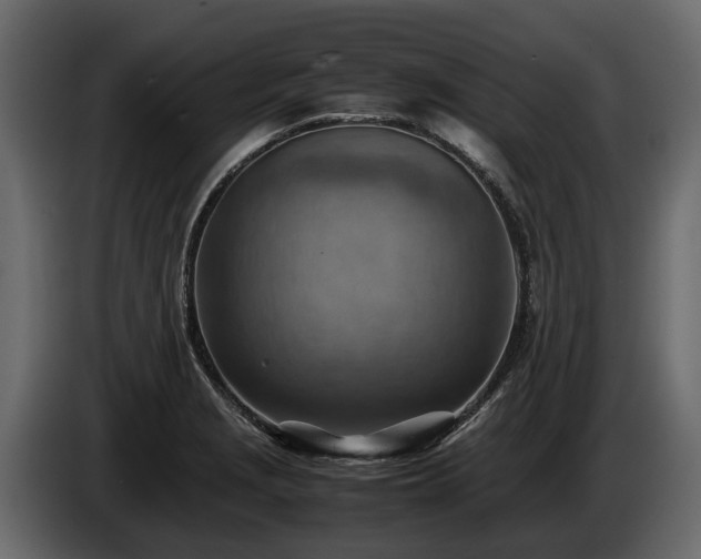 X0000085741229200703231103