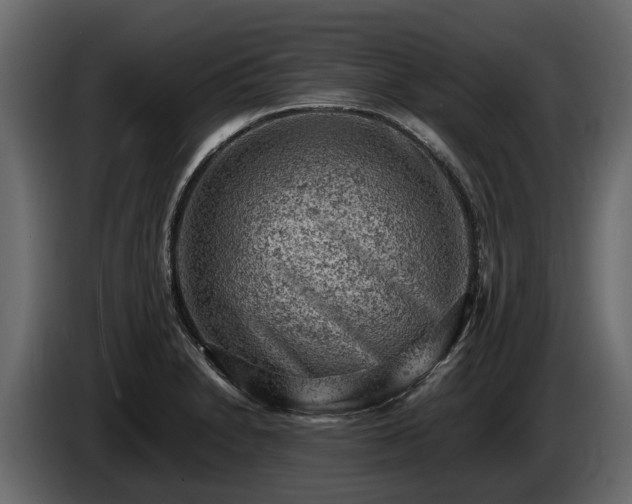 X0000085741230200703231103