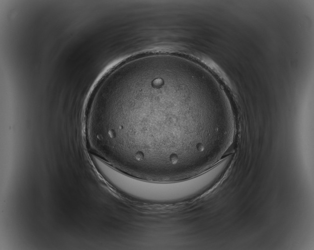 X0000085741232200703231103