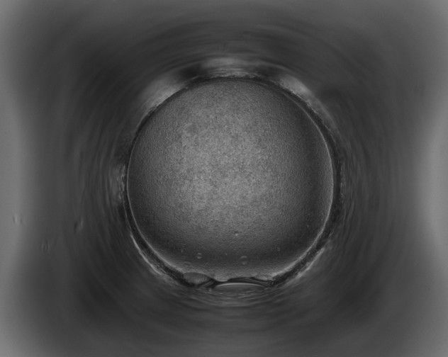 X0000085741233200703231103