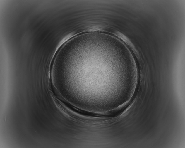 X0000085741234200703231103