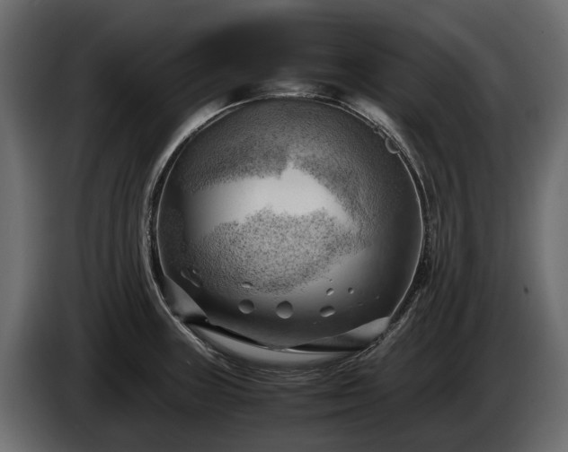 X0000085741235200703231103