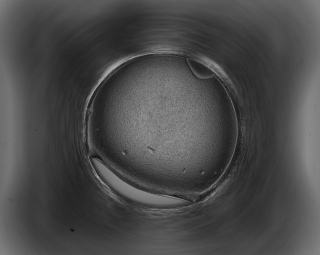 X0000085741236200703231103