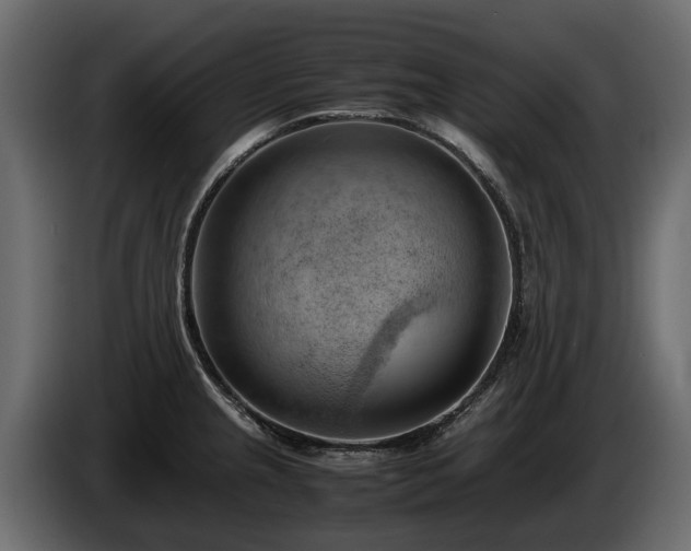 X0000085741237200703231103