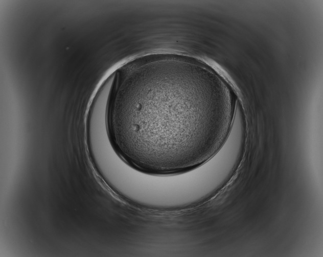 X0000085741238200703231103