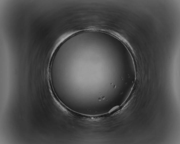 X0000085741239200703231103