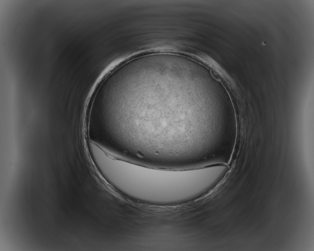 X0000085741240200703231103