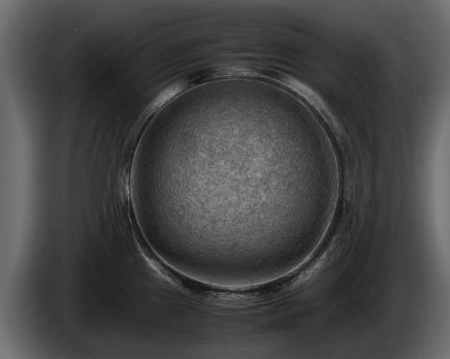 X0000085741241200703231103